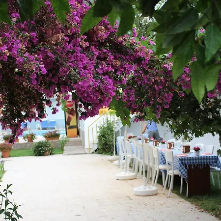 Turtle Beach Bungalows Daire