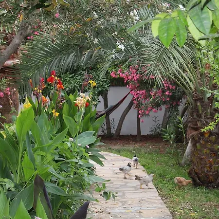 Turtle Beach Bungalows Apartment