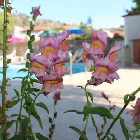 Turtle Beach Bungalows *