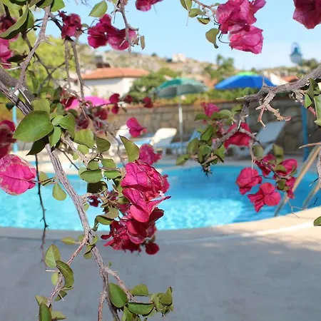 Turtle Beach Bungalows *