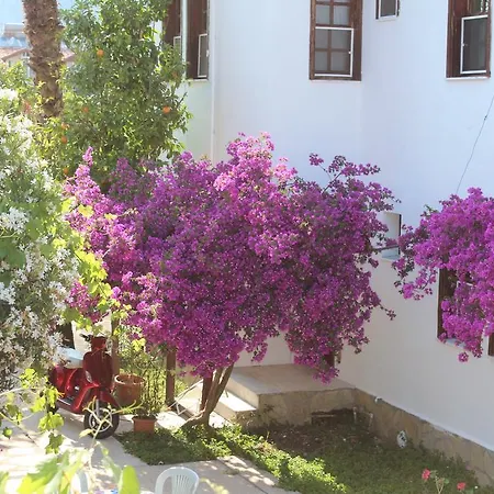 Turtle Beach Bungalows Dalyan